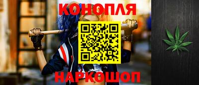 индика Обь