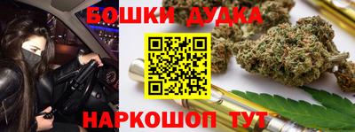 индика Обь