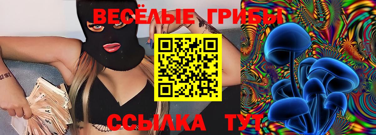 Псилоцибиновые грибы Psilocybe Стрежевой
