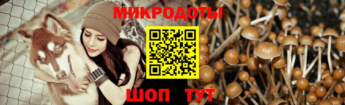 Стрежевой  Галлюциногенные грибы мухоморы  Вход с VPN 