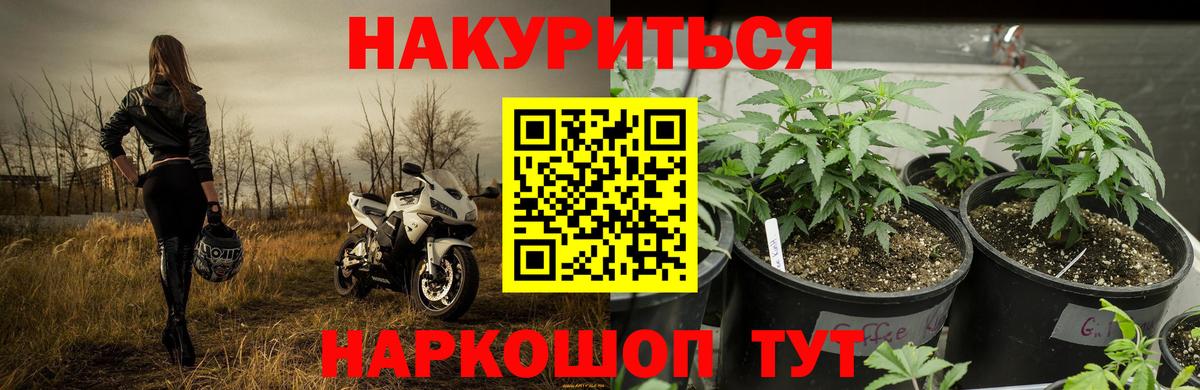 Канабис конопля Стрежевой